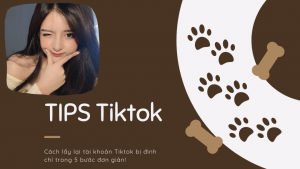 Hướng dẫn cách lấy lại tài khoản Tiktok bị đình chỉ