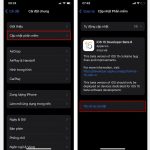 Cài đặt iOS 15 beta