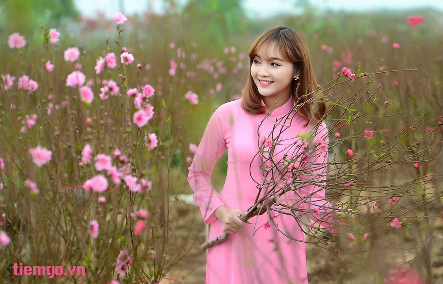 Cây đào tết- cô gái